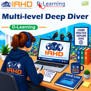 Course package Multi-level Deep Diver 'D-Learning'